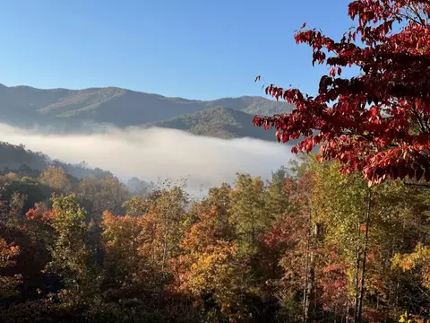 Other - 289 Bethabara Way, Hayesville, NC 28904 photo 3 of 11