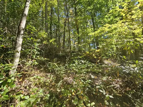 3563 Owl Crk, Murphy, NC 28906 photo 11
