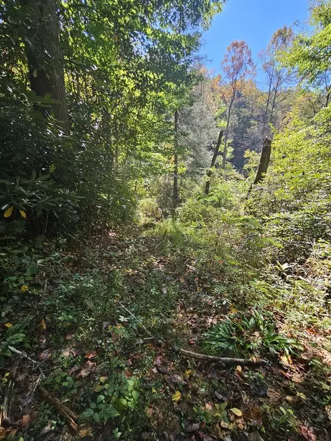 3563 Owl Crk, Murphy, NC 28906 photo 3