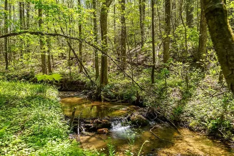 000 Burnt Mountain Rd, Ellijay, GA 30536
