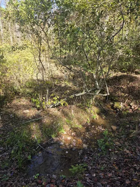 Other - 690 Hiwassee Creek Est, Murphy, NC 28906 photo 2 of 2