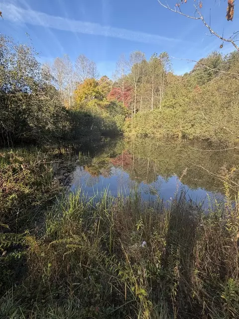 0 Rocky Springs Ln, Murphy, NC 28906 photo 6