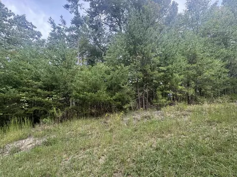 Lt1301 Arrow Court, Ranger, GA 30734