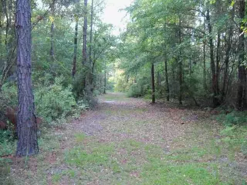 2004 SW Bee Tree Rd #-, Madison, FL 32340 photo 18