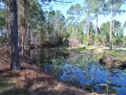 2004 SW Bee Tree Rd #-, Madison, FL 32340 photo 8
