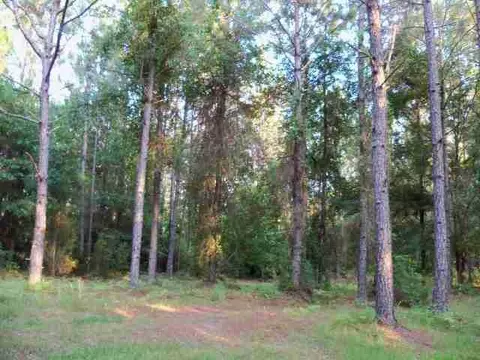 2004 SW Bee Tree Rd #-, Madison, FL 32340 photo 19
