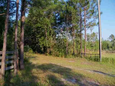 2004 SW Bee Tree Rd #-, Madison, FL 32340 photo 4