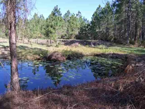 2004 SW Bee Tree Rd #-, Madison, FL 32340 photo 22