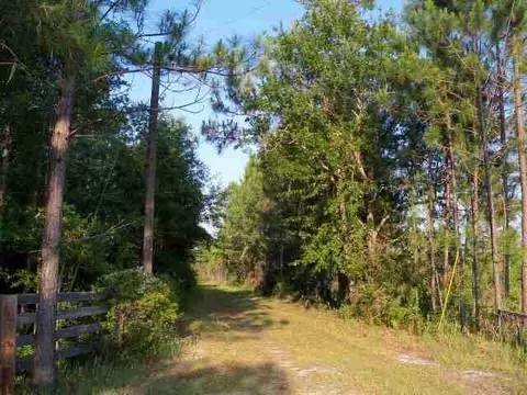 2004 SW Bee Tree Rd #-, Madison, FL 32340 photo 5