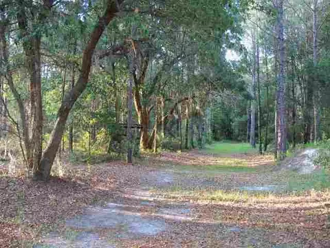 2004 SW Bee Tree Rd #-, Madison, FL 32340 photo 2
