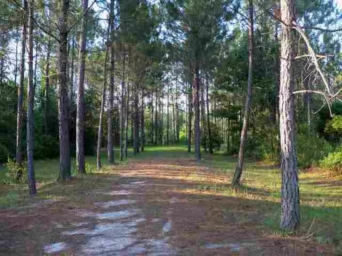 2004 SW Bee Tree Rd #-, Madison, FL 32340 photo 7