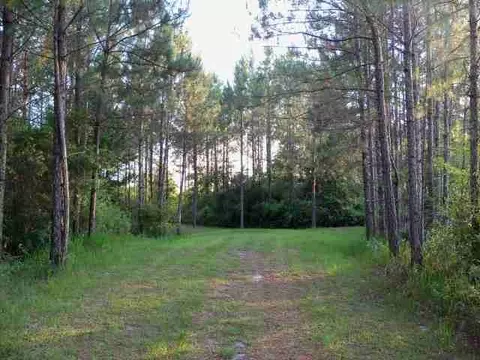 2004 SW Bee Tree Rd #-, Madison, FL 32340 photo 1