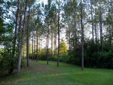 2004 SW Bee Tree Rd #-, Madison, FL 32340 photo 23