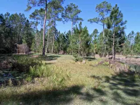 2004 SW Bee Tree Rd #-, Madison, FL 32340 photo 25