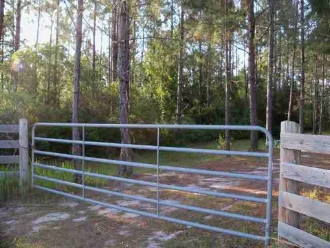 2004 SW Bee Tree Rd #-, Madison, FL 32340 photo 6