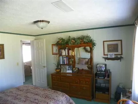 153 Tower Rd #-, Panacea, FL 32346 photo 6