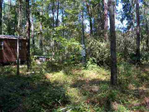 4709 NE Chervil Dr #-, Lee, FL 32059 photo 8