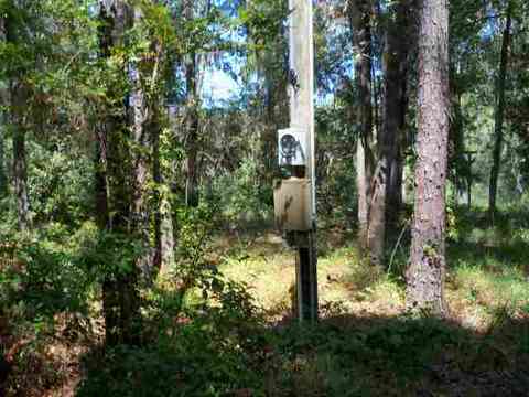 4709 NE Chervil Dr #-, Lee, FL 32059 photo 7