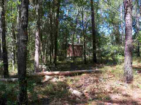4709 NE Chervil Dr #-, Lee, FL 32059 photo 4