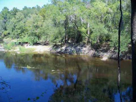 4709 NE Chervil Dr #-, Lee, FL 32059 photo 10