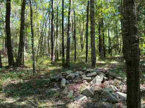 4709 NE Chervil Dr #-, Lee, FL 32059 photo 3