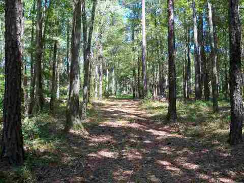 4709 NE Chervil Dr #-, Lee, FL 32059 photo 2