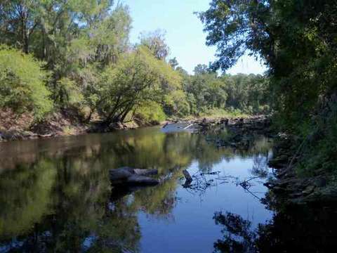 tbd NE Chervil Dr #-, Lee, FL 32340 photo 7