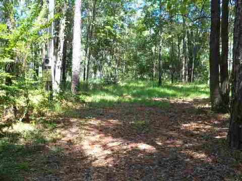 tbd NE Chervil Dr #-, Lee, FL 32340 photo 8