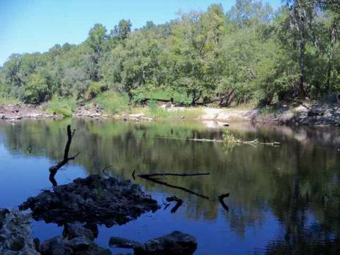 tbd NE Chervil Dr #-, Lee, FL 32340 photo 3
