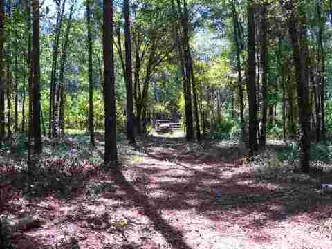 tbd NE Chervil Dr #-, Lee, FL 32340 photo 10