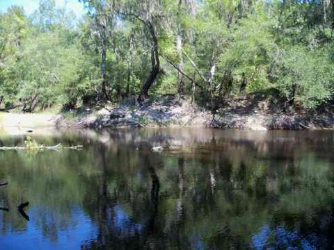 tbd NE Chervil Dr #-, Lee, FL 32340 photo 4