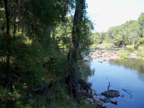 tbd NE Chervil Dr #-, Lee, FL 32340 photo 2