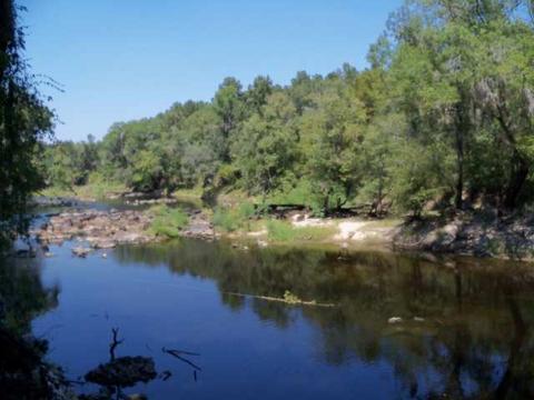 tbd NE Chervil Dr #-, Lee, FL 32340 photo 1