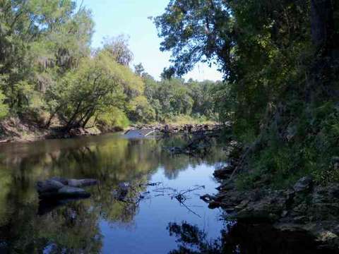 tbd NE Chervil Dr #-, Lee, FL 32340 photo 5