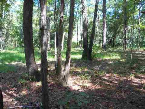 tbd NE Chervil Dr #-, Lee, FL 32340 photo 9