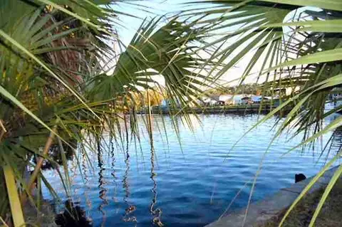 - Gulf Spray & Howard St #-, Saint Marks, FL 32355 photo 1