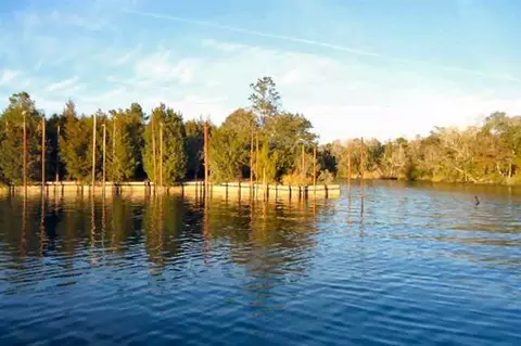 - Gulf Spray & Howard St #-, Saint Marks, FL 32355 photo 7