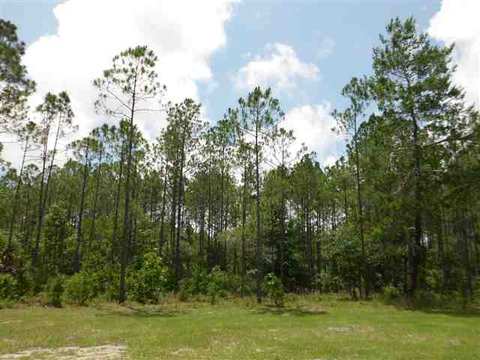 1719 Dennis Howell Rd, Perry, FL 32348 photo 12