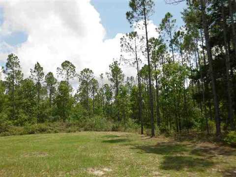 1719 Dennis Howell Rd, Perry, FL 32348 photo 14