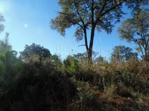 Vacant Aucilla Plantation Court #-, Monticello, FL 32344 photo 10