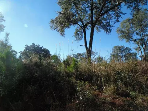 Vacant Aucilla Plantation Court #-, Monticello, FL 32344 photo 13