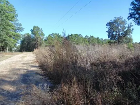 Vacant Aucilla Plantation Court #-, Monticello, FL 32344 photo 15