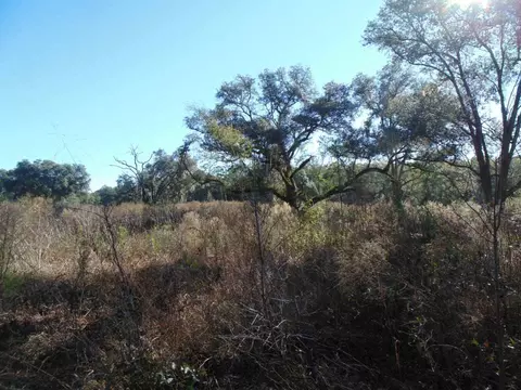 Vacant Aucilla Plantation Court #-, Monticello, FL 32344 photo 9