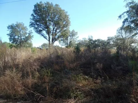 Vacant Aucilla Plantation Court #-, Monticello, FL 32344 photo 11