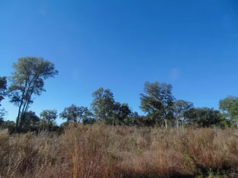 Vacant Aucilla Plantation Court #-, Monticello, FL 32344 photo 4