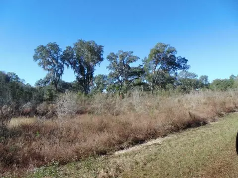 Vacant Aucilla Plantation Court #-, Monticello, FL 32344 photo 2