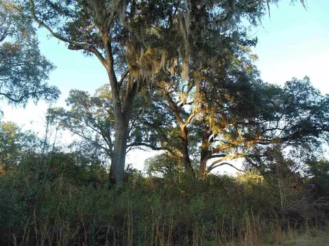 Vacant Aucilla Plantation Court #-, Monticello, FL 32344 photo 1