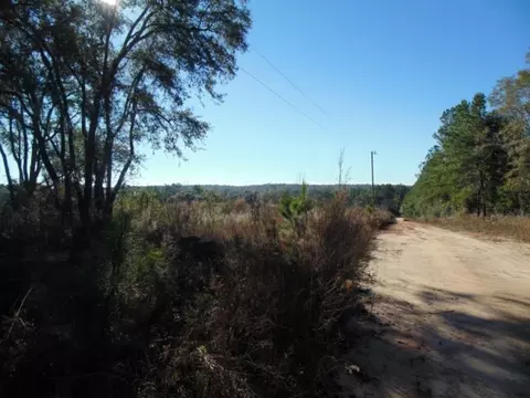 Vacant Aucilla Plantation Court #-, Monticello, FL 32344 photo 14