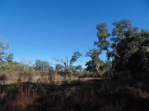 Vacant Aucilla Plantation Court #-, Monticello, FL 32344 photo 5