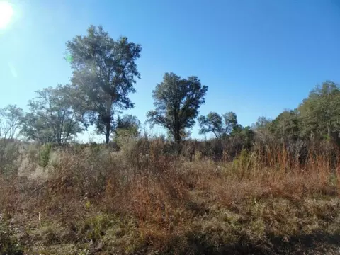 Vacant Aucilla Plantation Court #-, Monticello, FL 32344 photo 7